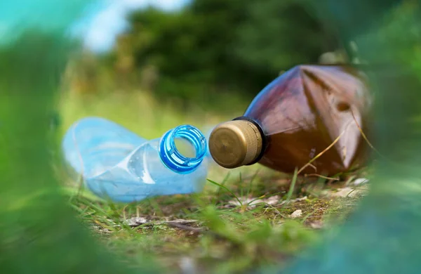 Plastikowe Butelki Lesie Koncepcja Zanieczyszczenia Środowiska — Zdjęcie stockowe