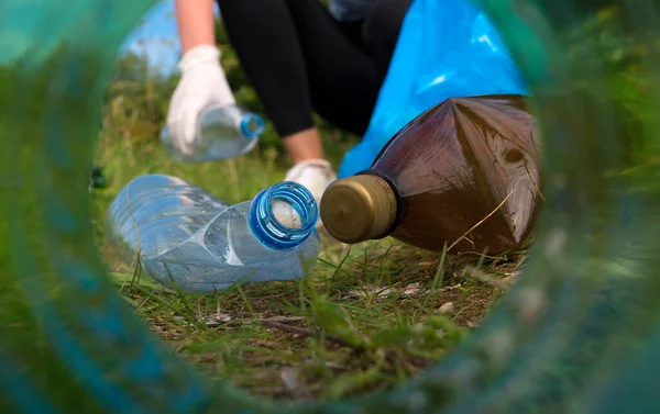 Önkéntes Üvegeket Gyűjt Erdőben Kilátás Üveg Nyakáról — Stock Fotó