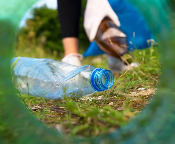 Volunteer Collecting Bottles Forest View Neck Bottle — Stock Photo, Image