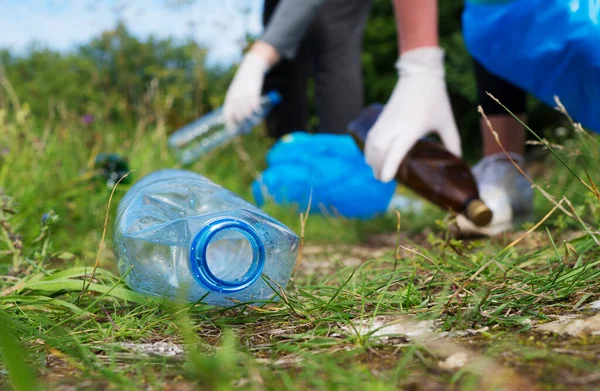 Gönüllüler ormanda şişe topluyor. Çevre kirliliği kavramı.