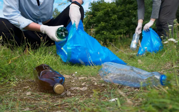 Önkéntesek Üvegeket Gyűjtenek Erdőben Környezetszennyezés Fogalma — Stock Fotó