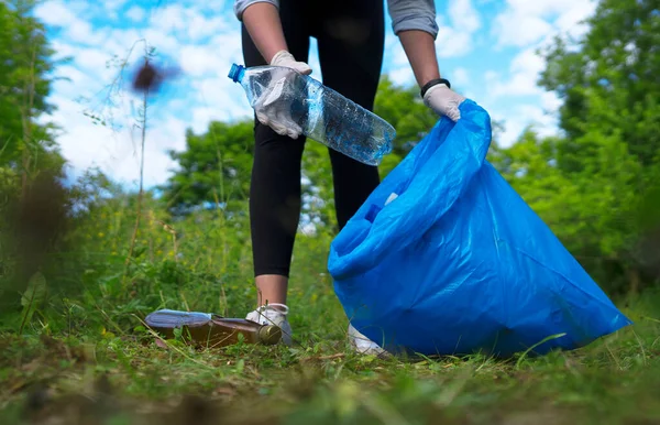 Volunteer Collecting Bottles Forest Environment Pollution Concept — Stock Photo, Image