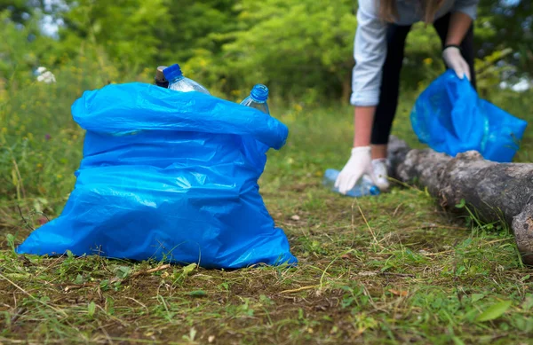Önkéntes Üvegeket Gyűjt Erdőben Környezetszennyezés Fogalma — Stock Fotó