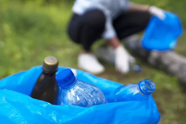 Доброволець Збирає Пляшки Лісі Концепція Забруднення Довкілля — стокове фото