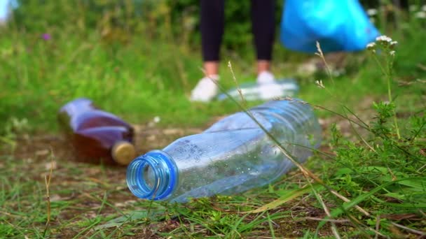Доброволець Збирає Пляшки Лісі Концепція Забруднення Довкілля — стокове відео
