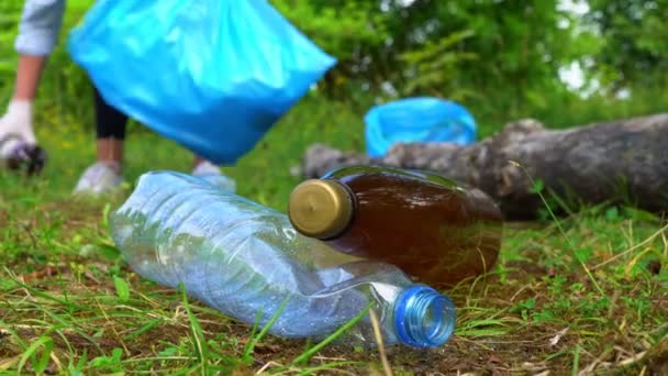 Доброволець Збирає Пляшки Лісі Концепція Забруднення Довкілля — стокове відео