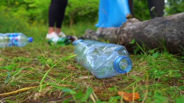 Komando Relawan Mengumpulkan Botol Hutan Konsep Polusi Lingkungan — Stok Video