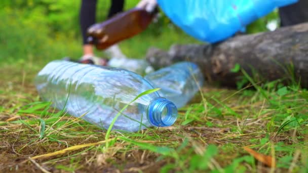 Önkéntesek Vezetése Akik Üvegeket Gyűjtenek Erdőben Környezetszennyezés Fogalma — Stock videók