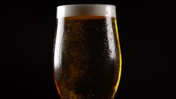Cerveza Giratoria Recién Elaborada Vaso — Vídeos de Stock