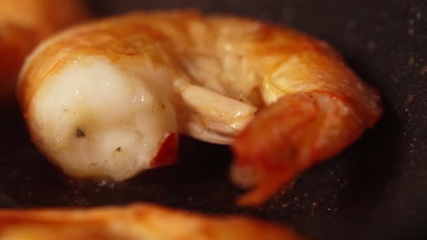 Vue Rapprochée Des Crevettes Royales Sont Frites Dans Une Casserole — Video