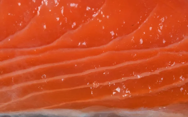 Kırmızı Somon Diliminin Makro Görünümü — Stok fotoğraf