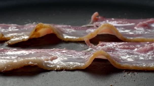 Närbild Bacon Skivor Stekpanna — Stockvideo