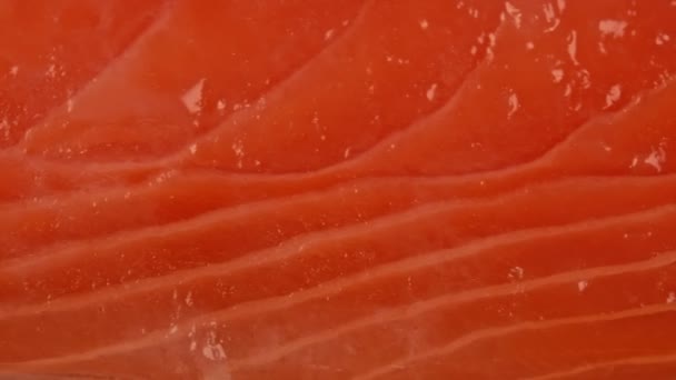 Macro Vista Fetta Salmone Rosso — Video Stock