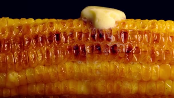 Butter Melting Freshly Cooked Corn — Stock Video