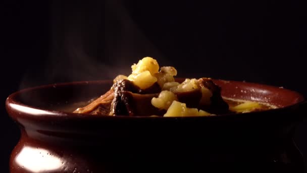 Soppa Med Kött Potatis Pärlkorn Och Svamp Porcini — Stockvideo