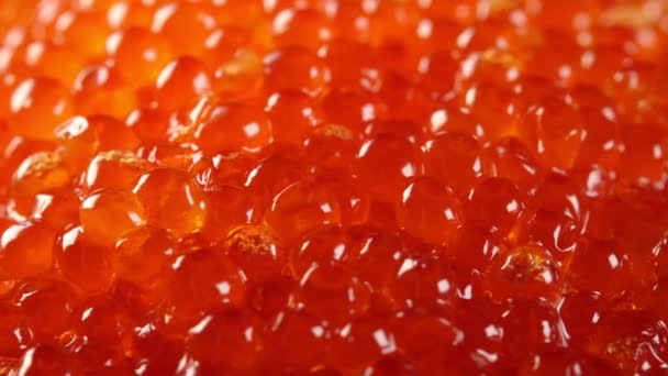 Caviar Vermelho Rotativo Adequado Para Publicidade — Vídeo de Stock