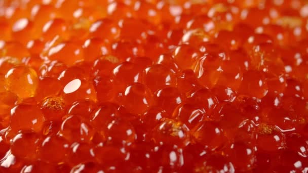 Rotating Red Caviar Suitable Advertisement — Stock Video