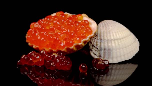 Caviar Vermelho Concha Adequado Para Publicidade — Vídeo de Stock