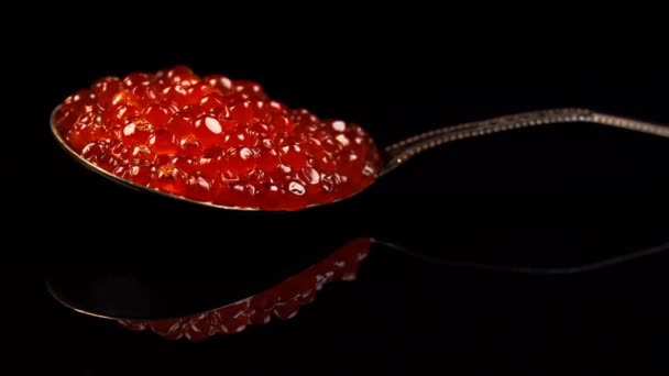 鏡面上のスプーンの赤いキャビア — ストック動画