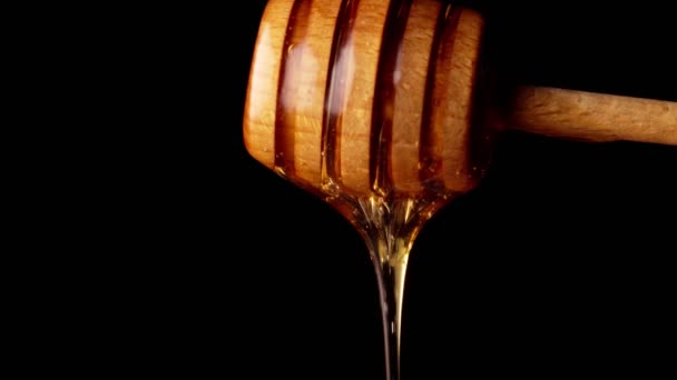 Honey Dripping Wooden Honey Dipper Black Background — Stock Video
