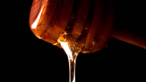 Honing Druipt Van Houten Honing Dipper Zwarte Achtergrond — Stockvideo