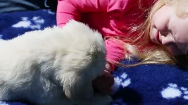 Όμορφο κοριτσάκι παίζει με ένα κουτάβι στη φύση — Αρχείο Βίντεο