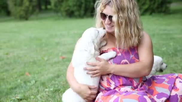 Young woman playing with puppies of golden retriever in park — Stock Video