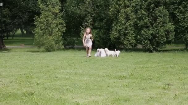 Маленькая блондинка бегает вокруг с щенками золотистого ретривера в парке — стоковое видео