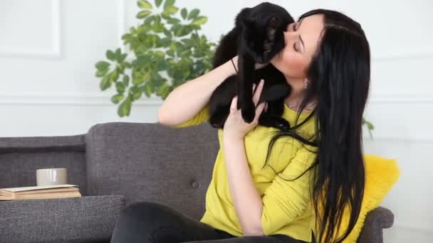 Aşk için pets. siyah bir kedi ile güzel esmer kız evde oturma odasında kanepede rahatlatıcı. — Stok video