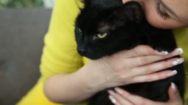 Amour pour les animaux domestiques. belle fille brune avec un chat noir se relaxe à la maison dans le salon sur le canapé . — Video