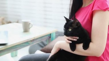 hayat ile pets. güzel kız evde ellerinin üzerinde siyah bir kedi ile bir dizüstü bilgisayar üzerinde çalışıyor.