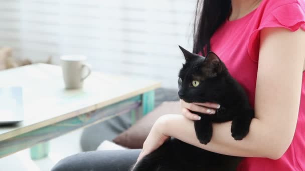 Vita con animali domestici. bella ragazza sta lavorando a casa su un computer portatile con un gatto nero sulle mani . — Video Stock