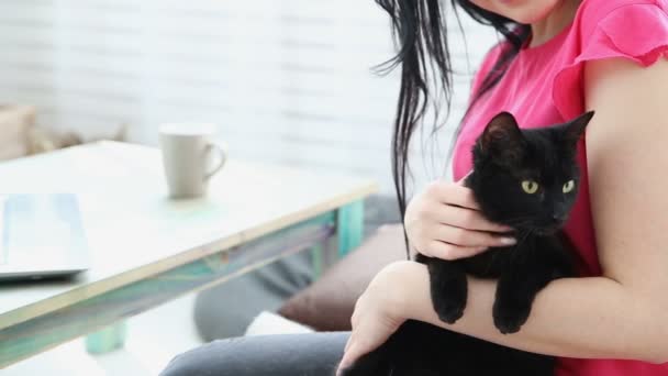 Leben mit Haustieren. schöne Mädchen arbeitet zu Hause auf einem Laptop mit einer schwarzen Katze an ihren Händen. — Stockvideo