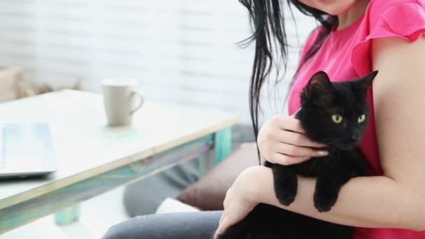 Vida con mascotas. hermosa chica está trabajando en casa en un ordenador portátil con un gato negro en sus manos . — Vídeo de stock