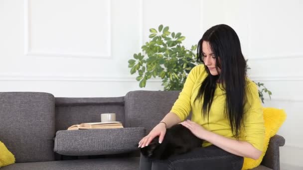 Liebe zu Haustieren. schöne dunkelhaarige Mädchen mit einer schwarzen Katze entspannt zu Hause im Wohnzimmer auf der Couch. — Stockvideo