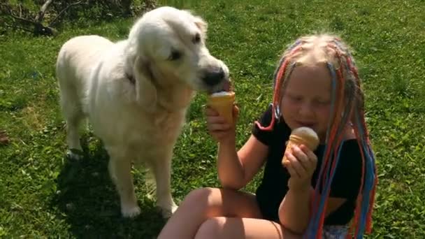 Gelukkig leven van huisdieren. grappige video - mooie golden retriever en meisje eten van ijs in de tuin - handheld schieten — Stockvideo