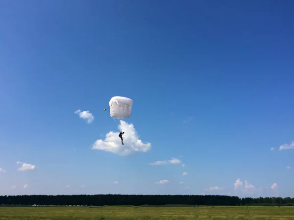 Экстремальные виды спорта - десантник приземляется на землю — стоковое фото