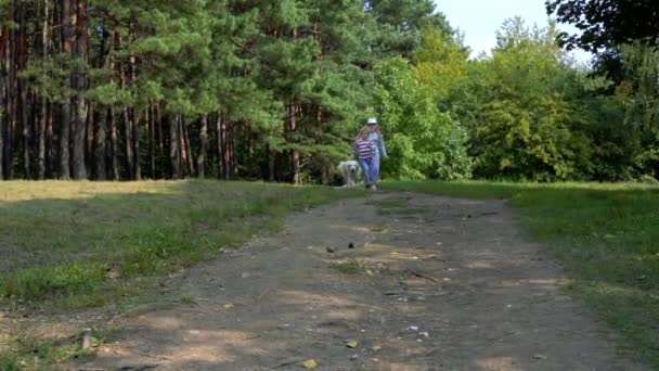 Crianças felizes e um belo cão correndo ao redor do campo sobre a grama — Vídeo de Stock