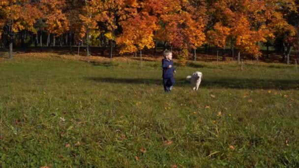 Счастливый мальчик европейской внешности весело играет в осеннем парке с большой красивой собакой - замедленная съемка — стоковое видео