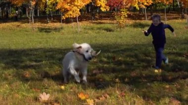 Avrupa görünüm mutlu küçük çocuk eğlenceli sahip büyük bir güzel köpek ile sonbahar parkta oynarken