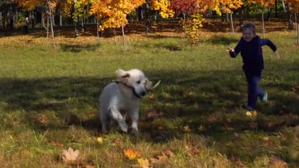 Fröhlicher kleiner Junge von europäischem Aussehen hat Spaß beim Spielen im herbstlichen Park mit einem großen schönen Hund — Stockvideo