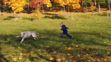 Avrupa görünüm mutlu küçük çocuk eğlenceli sahip büyük bir güzel köpek ile sonbahar parkta oynarken