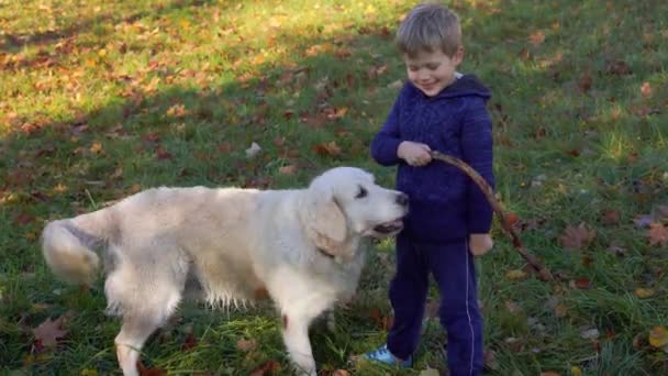 Fröhlicher kleiner Junge von europäischem Aussehen hat Spaß beim Spielen im herbstlichen Park mit einem großen schönen Hund — Stockvideo