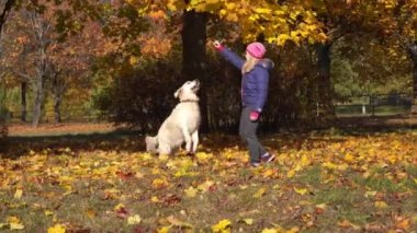 mutlu küçük kız Avrupa görünüm eğlenceli sahip büyük bir güzel köpek ile sonbahar parkta oynarken