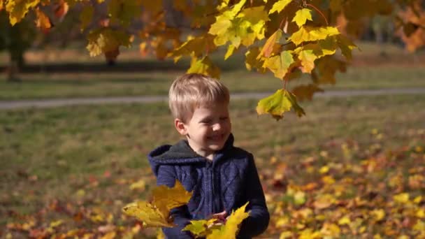 Porträtt av en vacker liten pojke i parken hösten — Stockvideo