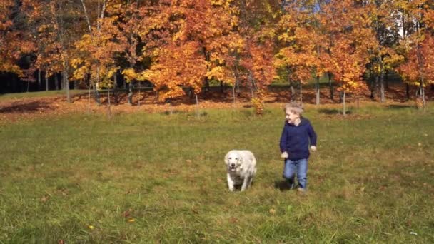 Šťastný chlapec Evropského vzhledu se baví hrát v podzimním parku s velkým krásným psem - Zpomalený pohyb — Stock video