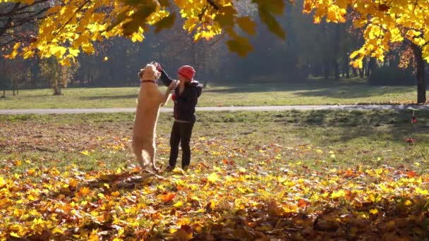 Menina feliz da aparência europeia está se divertindo jogando no parque de outono com um grande cão bonito — Vídeo de Stock