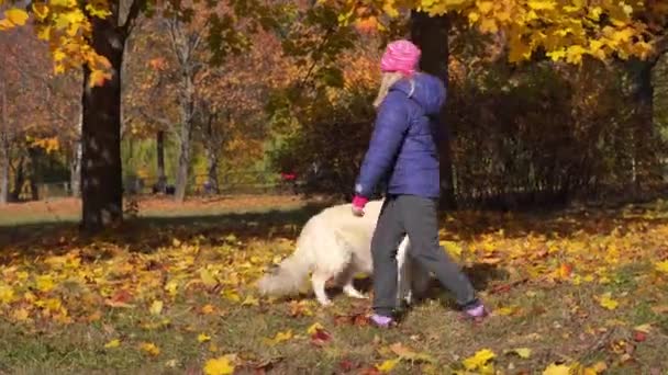 愉快的欧洲外观的小女孩在秋季公园与一个大的美丽的狗玩乐趣 — 图库视频影像