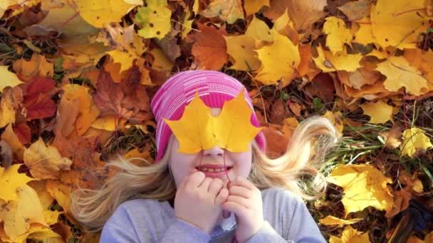 Portret pięknej dziewczyny w jesienny park portret pięknej dziewczyny w parku jesień na opadłych liści — Wideo stockowe