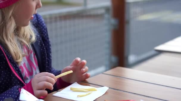 Αστεία βίντεο - κορίτσι που ταΐζει το σκύλο φιλόζωη café με τηγανητές πατάτες — Αρχείο Βίντεο